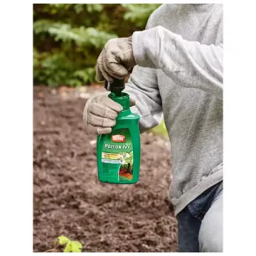  Roundup Poison Ivy Killer