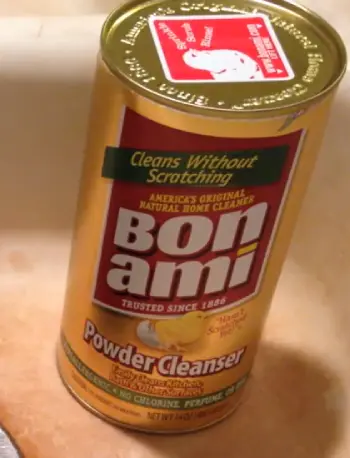 bon ami