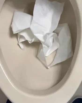   Briggs Altima Max Toilet
