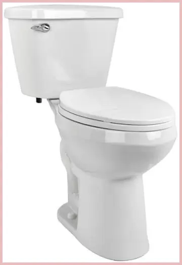   Briggs Altima Max Toilet