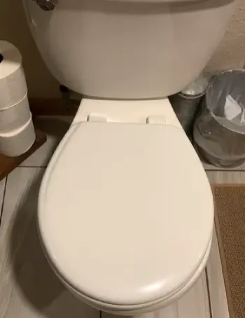   Briggs Altima Max Toilet