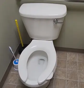   Briggs Altima Max Toilet