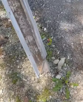 LeafFilter  