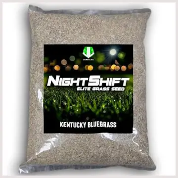NightShift Grass Seed 