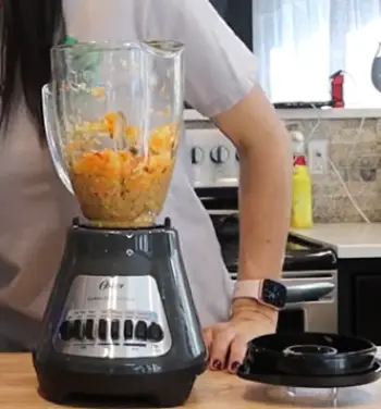 Oster Blender