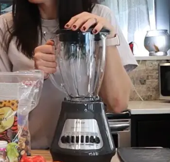 Oster Blender