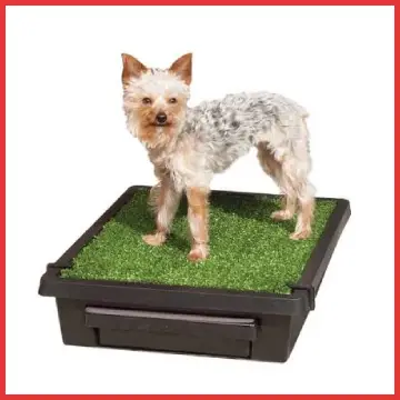 Pet Loo