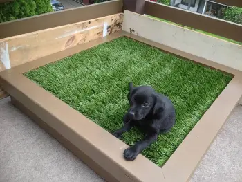 Porch Potty