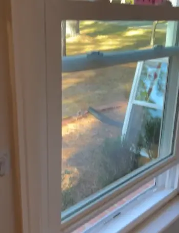 Simonton Windows