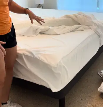 AllerEase Mattress Protector