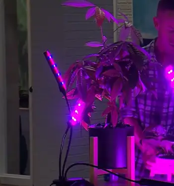 Bell & Howell Bionic Grow LED Plant Light