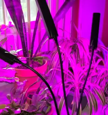 Bell & Howell Bionic Grow LED Plant Light