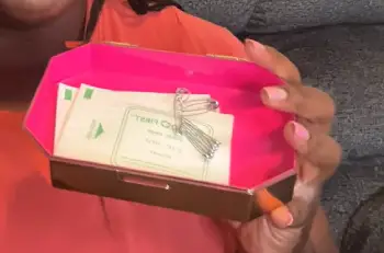 Blingsting Car First Aid Kit  