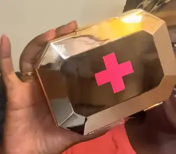 Blingsting Car First Aid Kit  