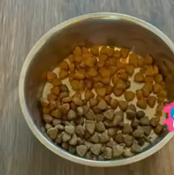 Blue Buffalo Senior Dog Food 