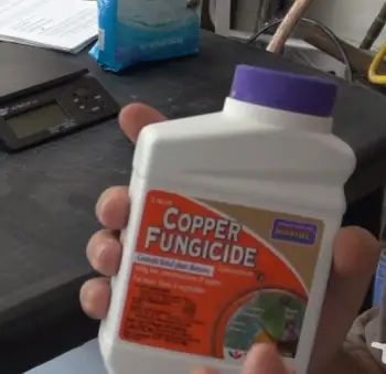 Bonide Copper Fungicide