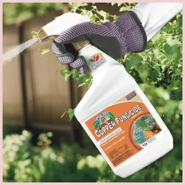 Bonide Copper Fungicide