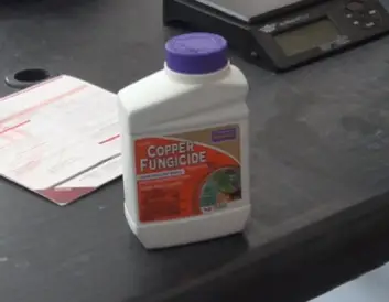 Bonide Copper Fungicide  