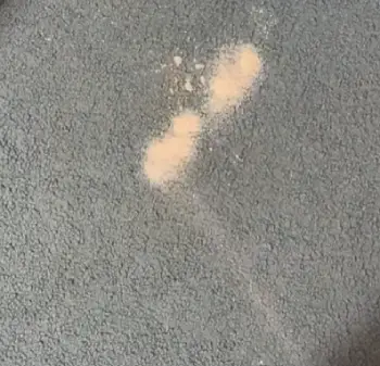 Bullshot Carpet Cleaner 