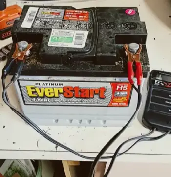 Everstart Maxx