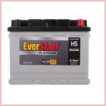 Everstart Platinum