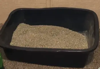 Kitty Diggins Cat Litter 
