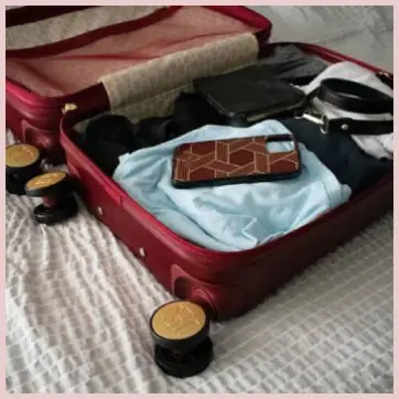 Badgley Mischka Luggage  