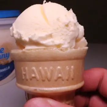 Blue Bunny Ice Cream