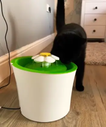 Catit Senses 2.0 Flower Fountain