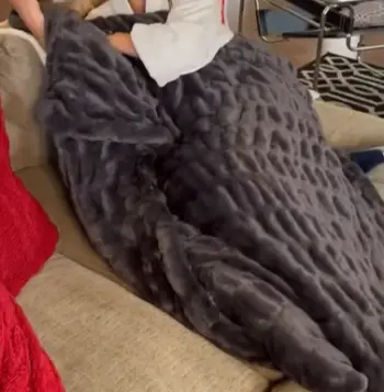 Comfrt Dreamer Blanket  