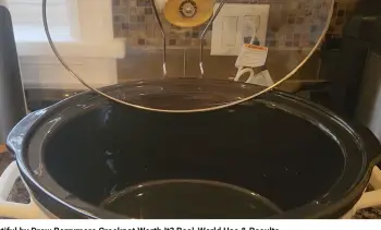 Drew Barrymore Crockpot  