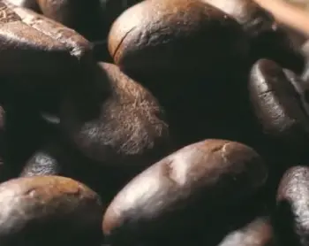   French Roast