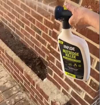 Image Southern Lawn Weed Killer