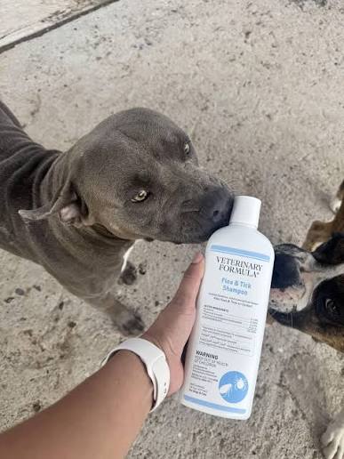 Veterinary Formula Flea and Tick Shampoo