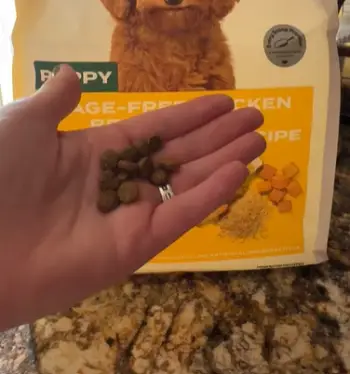 Jinx Dog Food 