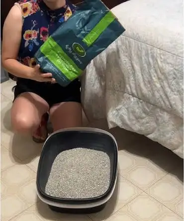 Kitty Diggins Cat Litter  