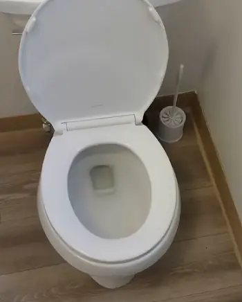 Kohler Toilets