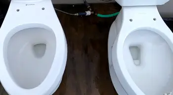 Kohler Vs. Glacier Bay Toilets