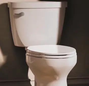 Kohler Toilets