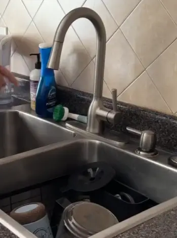 Moen Adler Kitchen Faucet  