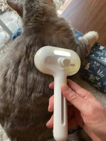 ReNu Dog Brush