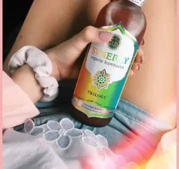 Synergy Kombucha Tea Reviews