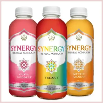 Synergy Kombucha Tea