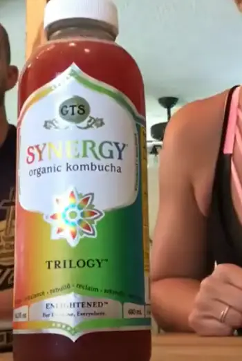 Synergy Kombucha Tea