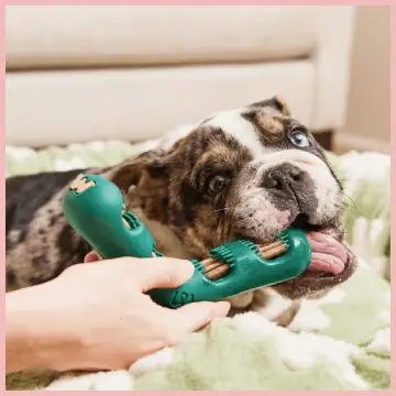 Woof Bite And Brush 
