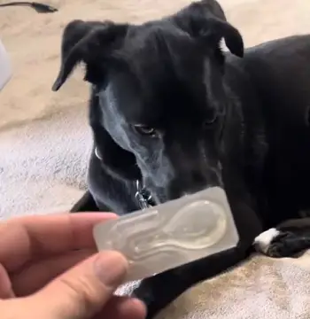 Zoguard Plus For Dogs
