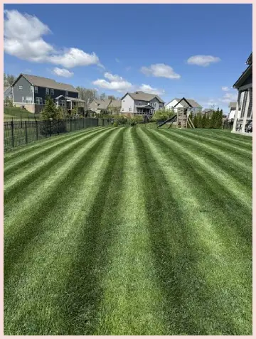 Neighbor’s Envy Fertilizer