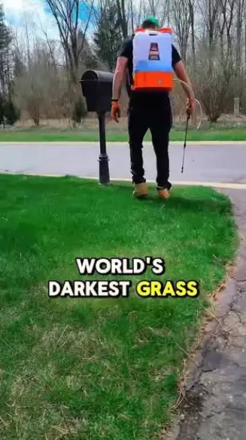 Neighbor’s Envy Fertilizer