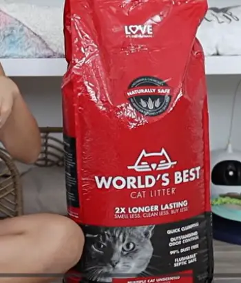   World's Best Cat Litter