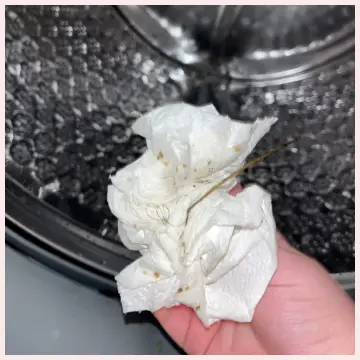 Affresh Washing Machine Cleaner